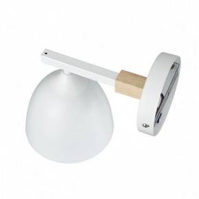 Бра Lumion Colange 8095/1W в Советском - sovetskiy.mebel24.online | фото 3