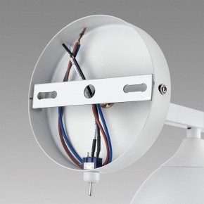 Бра Lumion Colange 8095/1W в Советском - sovetskiy.mebel24.online | фото 6