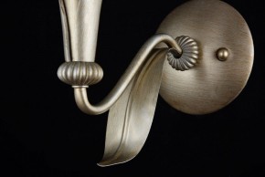 Бра Maytoni Lillian H311-01-G в Советском - sovetskiy.mebel24.online | фото 7