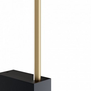 Бра Maytoni Pars C071WL-L12GB3K в Советском - sovetskiy.mebel24.online | фото 4