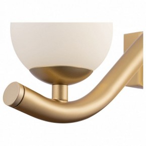 Бра Maytoni Uva MOD059WL-05G в Советском - sovetskiy.mebel24.online | фото 3
