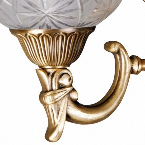 Бра MW-Light Афродита 2 317021902 в Советском - sovetskiy.mebel24.online | фото 5