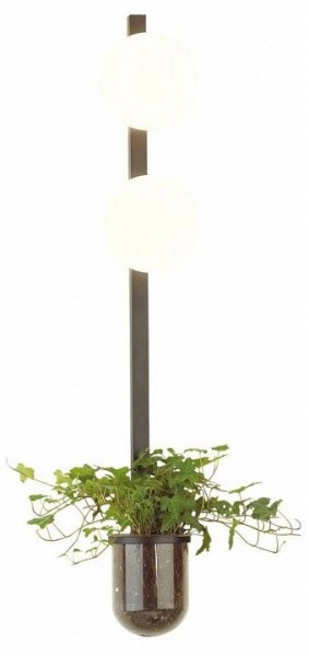 Бра Odeon Light Flower 4681/2WA в Советском - sovetskiy.mebel24.online | фото 3