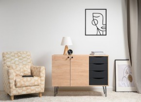 БРЮС Комод 16.233 в Советском - sovetskiy.mebel24.online | фото 2