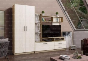 ДАРЬЯ Гостиная (Крафт серый/Крафт белый) в Советском - sovetskiy.mebel24.online | фото