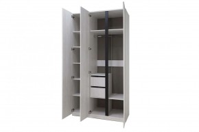 ДЕЛИ 3 Шкаф 3-х створчатый в Советском - sovetskiy.mebel24.online | фото 6