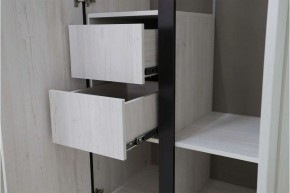 ДЕЛИ 3 Шкаф 3-х створчатый в Советском - sovetskiy.mebel24.online | фото 7