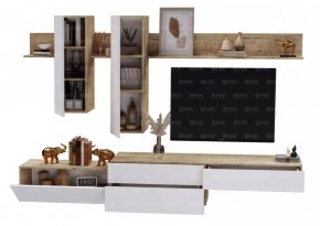 ФРИДА Гостиная (Вотан/Белый глянец) в Советском - sovetskiy.mebel24.online | фото 3