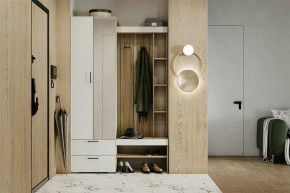 Гарнитур для прихожей Торонто в Советском - sovetskiy.mebel24.online | фото 5
