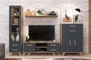 Гостиная Вега Скандинавия (комплект 7) в Советском - sovetskiy.mebel24.online | фото 2
