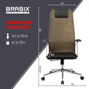 Кресло BRABIX PREMIUM "Ultimate EX-801" хром, плотная двойная сетка Х2, черное/коричневое, 532920 в Советском - sovetskiy.mebel24.online | фото 6