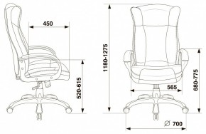 Кресло для руководителя Бюрократ CH-879N в Советском - sovetskiy.mebel24.online | фото