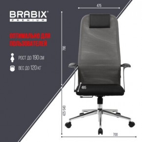 Кресло офисное BRABIX PREMIUM "Ultimate EX-801" хром, плотная двойная сетка Х2, черное/серое, 532918 в Советском - sovetskiy.mebel24.online | фото 5