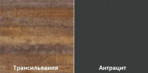 Кухонный гарнитур угловой Трансильвания 2600х1600 мм (Стол. 38 мм) в Советском - sovetskiy.mebel24.online | фото 3