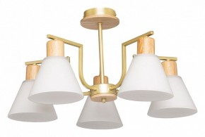 Люстра на штанге De City Дэла 45 635016505 в Советском - sovetskiy.mebel24.online | фото