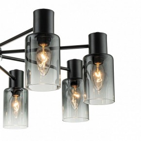 Люстра на штанге Escada Diversity 2120/8P Black в Советском - sovetskiy.mebel24.online | фото 5