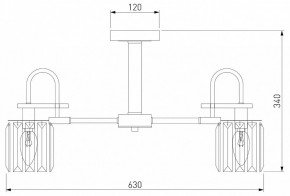 Люстра на штанге Eurosvet Tenia 70090/5 графит в Советском - sovetskiy.mebel24.online | фото 4