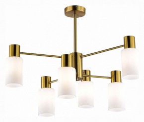 Люстра на штанге EVOLUCE Gessi SLE1139-302-06 в Советском - sovetskiy.mebel24.online | фото 2