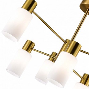 Люстра на штанге EVOLUCE Gessi SLE1139-302-06 в Советском - sovetskiy.mebel24.online | фото 3