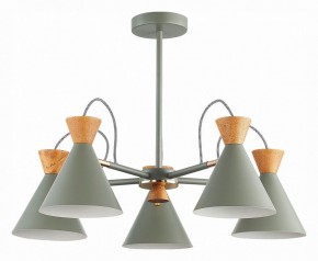 Люстра на штанге EVOLUCE Modica SLE125112-05 в Советском - sovetskiy.mebel24.online | фото 1