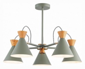 Люстра на штанге EVOLUCE Modica SLE125112-05 в Советском - sovetskiy.mebel24.online | фото 2