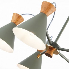 Люстра на штанге EVOLUCE Modica SLE125112-05 в Советском - sovetskiy.mebel24.online | фото 3