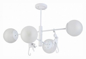 Люстра на штанге EVOLUCE Tenato SLE115102-04 в Советском - sovetskiy.mebel24.online | фото 2
