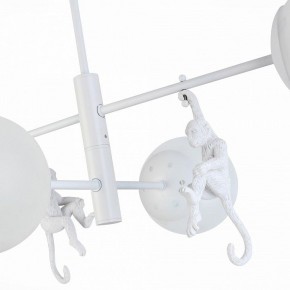 Люстра на штанге EVOLUCE Tenato SLE115102-04 в Советском - sovetskiy.mebel24.online | фото 9
