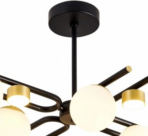 Люстра на штанге Favourite Soffiato 3048-8P в Советском - sovetskiy.mebel24.online | фото 4