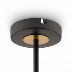 Люстра на штанге Freya Hats FR5370CL-04B в Советском - sovetskiy.mebel24.online | фото 6