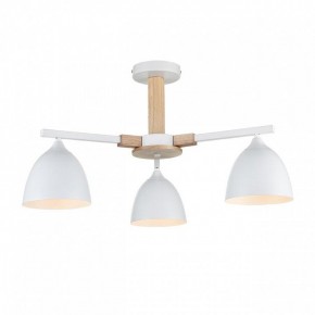 Люстра на штанге Lumion Colange 8095/3C в Советском - sovetskiy.mebel24.online | фото 2