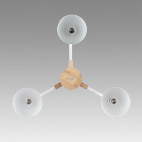 Люстра на штанге Lumion Colange 8095/3C в Советском - sovetskiy.mebel24.online | фото 3