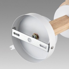 Люстра на штанге Lumion Colange 8095/3C в Советском - sovetskiy.mebel24.online | фото 6