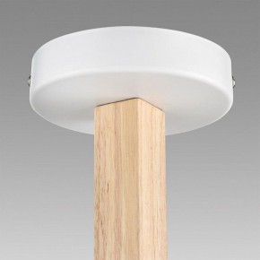 Люстра на штанге Lumion Colange 8095/3C в Советском - sovetskiy.mebel24.online | фото 9