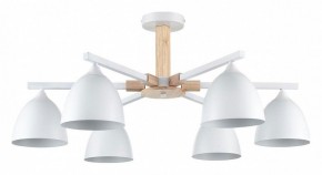 Люстра на штанге Lumion Colange 8095/6C в Советском - sovetskiy.mebel24.online | фото