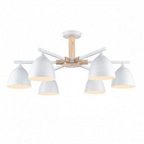 Люстра на штанге Lumion Colange 8095/6C в Советском - sovetskiy.mebel24.online | фото 2