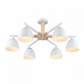 Люстра на штанге Lumion Colange 8095/6C в Советском - sovetskiy.mebel24.online | фото 3