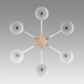 Люстра на штанге Lumion Colange 8095/6C в Советском - sovetskiy.mebel24.online | фото 4