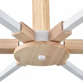 Люстра на штанге Lumion Colange 8095/6C в Советском - sovetskiy.mebel24.online | фото 7