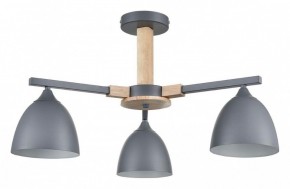 Люстра на штанге Lumion Colange 8096/3C в Советском - sovetskiy.mebel24.online | фото