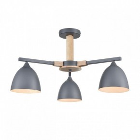 Люстра на штанге Lumion Colange 8096/3C в Советском - sovetskiy.mebel24.online | фото 2
