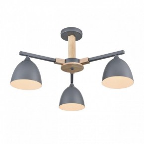 Люстра на штанге Lumion Colange 8096/3C в Советском - sovetskiy.mebel24.online | фото 3
