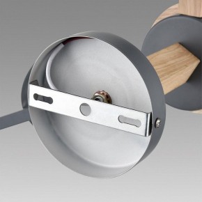 Люстра на штанге Lumion Colange 8096/3C в Советском - sovetskiy.mebel24.online | фото 6