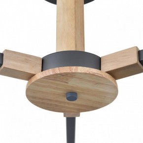 Люстра на штанге Lumion Colange 8096/3C в Советском - sovetskiy.mebel24.online | фото 7