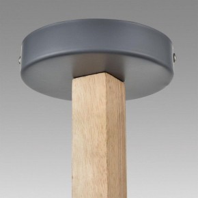 Люстра на штанге Lumion Colange 8096/3C в Советском - sovetskiy.mebel24.online | фото 9