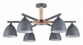 Люстра на штанге Lumion Colange 8096/6C в Советском - sovetskiy.mebel24.online | фото