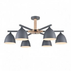 Люстра на штанге Lumion Colange 8096/6C в Советском - sovetskiy.mebel24.online | фото 2