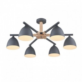 Люстра на штанге Lumion Colange 8096/6C в Советском - sovetskiy.mebel24.online | фото 3