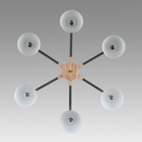 Люстра на штанге Lumion Colange 8096/6C в Советском - sovetskiy.mebel24.online | фото 4