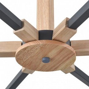 Люстра на штанге Lumion Colange 8096/6C в Советском - sovetskiy.mebel24.online | фото 7